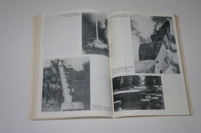 Brancusi - Nina Stanculescu