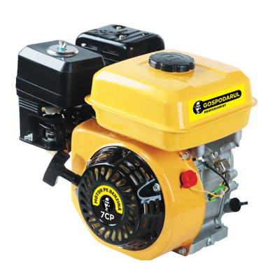 Motor monocilindru uz general Gospodarul Profesionist GP-170F, 3300 W, 3000 rpm, 7 CP, rezervor 3.6 l, motor 4 timpi foto