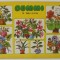 BUMMI , REVISTA PENTRU COPII IN LIMBA GERMANA , No. 19 , 1989