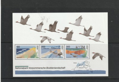 Fauna ,pasari calatoare .Germania. foto