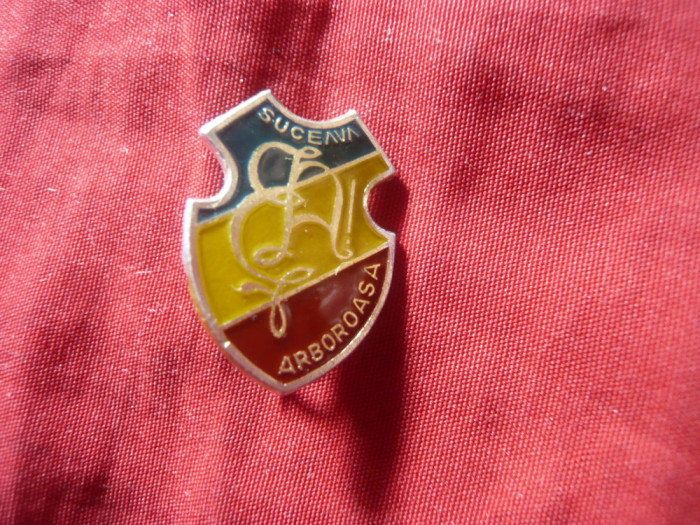 Insigna Suceava - Arboroasa , metal si email , h=2cm