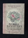 Istoria Banatului &ndash; Victor Neumann (coord.)