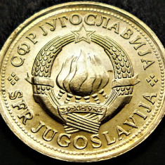 Moneda 1 DINAR - RSF YUGOSLAVIA, anul 1981 * cod 1563