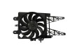 Ventilator, radiator FIAT PUNTO (188) (1999 - 2016) TYC 809-0008