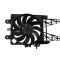 Ventilator, radiator FIAT PUNTO (188) (1999 - 2016) TYC 809-0008