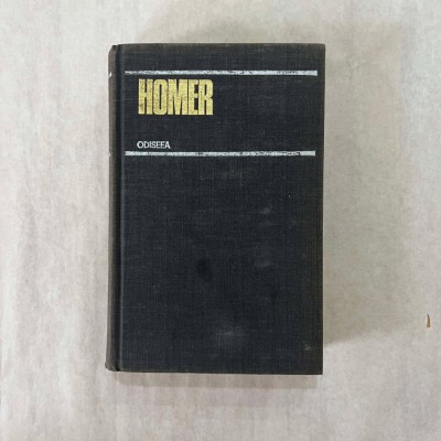 Homer - Odiseea foto