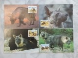 Botswana 1995 - hiene, serie CarteMaxima
