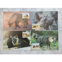 Botswana 1995 - hiene, serie CarteMaxima
