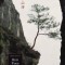 The Collected Songs of Cold Mountain