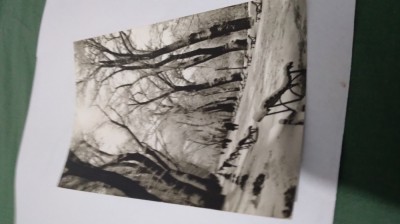 CARTE POSTALA IARNA IN GRADINA CISMIGIU CIRCULATA foto