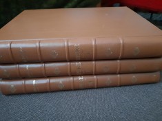 MIHAI EMINESCU OPERE VOL 1-3,EDITIA PERPESSICIUS- LEGATE DE LUX foto