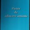 SERGIU GROSSU (SIMION CUBOLTA): PIETRE DE ADUCERE AMINTE (EDITIA a II-a) [EDITURA OASTEA DOMNULUI, 2002]