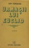 Urmasii lui Euclid