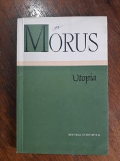 Utopia - Morus / R8P1S foto