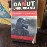 Asteptand in Ghermana - Danut Ungureanu