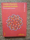 Trauma, atasament, constelatii familiale. Psihoterapia traumei - Franz Ruppert