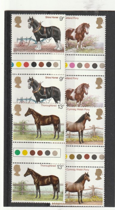 Fauna ,cai de rasa serie cu TAPS color,Anglia.