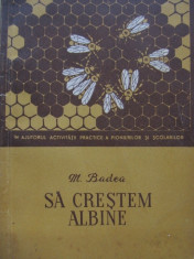 Sa crestem albine (apicultura) - M. Badea foto