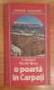 Culoarul Rucar-Bran. O poarta in Carpati de Simion Teodor + harta