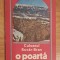 Culoarul Rucar-Bran. O poarta in Carpati de Simion Teodor + harta