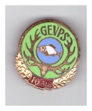 Insigna GEVPS 10 ani
