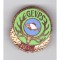 Insigna GEVPS 10 ani