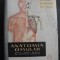 Anatomia omului-V.Ranga