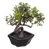 Ghiveci Bonsai artificial, 6.5 x 6.5 x 11 cm, Oem