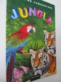Pasi spre cunoastere - Jungla