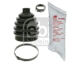 Ansamblu Burduf, Articulatie Planetara FEBI 01438
