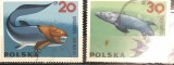 Timbre - Polonia Polska - >50 - Tematica Animale - Pesti