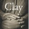 Clay: The History and Evolution of Humankind&#039;s Relationship with Earth&#039;s Most Primal Element