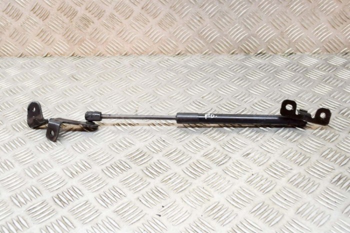 Amortizor capota dreapta față TESLA MODEL 3 2020 OEM: 1091472-00-B 16035601