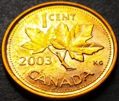 Moneda 1 CENT - CANADA, anul 2003 * cod 2350