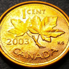 Moneda 1 CENT - CANADA, anul 2003 * cod 2350