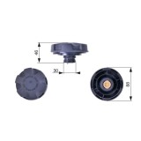 Gates buson, vas expansiune