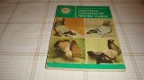 Vancea / Bonatiu - Cresterea porumbeilor pentru carne - 1986