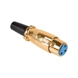 MUFA XLR MAMA GOLD - WTY0052