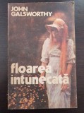 FLOAREA INTUNECATA - John Galsworthy