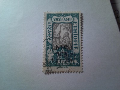 Timbru Ethiopia 1921 supratipar 1g/ 1/4g - fauna - Girafe ,stampilat foto