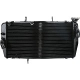 Cumpara ieftin Radiator Honda CBR929 2000-2001