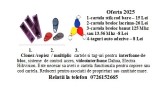 Cartele interfon, video-interfon si control acces