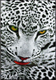 Cumpara ieftin Covor Kolibri Leopard 11122 - 160x230, Negru