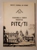 Eugenia Greceanu - Ansamblul urban medieval Pitești
