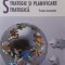 STRATEGIE SI PLANIFICARE STRATEGICA. PROIECT ECONOMIC-EMIL MAXIM-265566