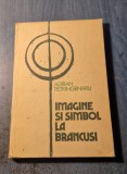 Imagine si simbol la Brancusi Adrian Petringenaru