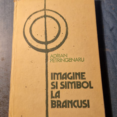 Imagine si simbol la Brancusi Adrian Petringenaru