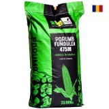 Porumb FUNDULEA 475-M, 25.000 seminte