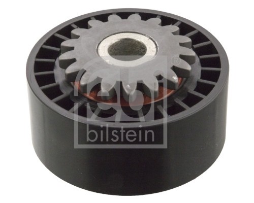 FEBI BILSTEIN 09789 Rola ghidare/conducere, curea transmisie
