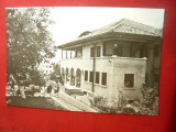 Ilustrata Campina - Casa Pionierilor , anii &#039;60, Necirculata, Fotografie